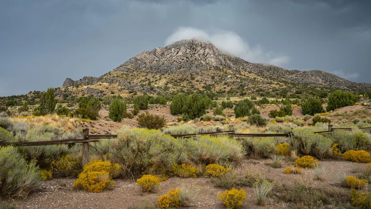 Sagebrush and rabbitbrush along a jackleg fence below a rocky Nevada peak under a storm sky