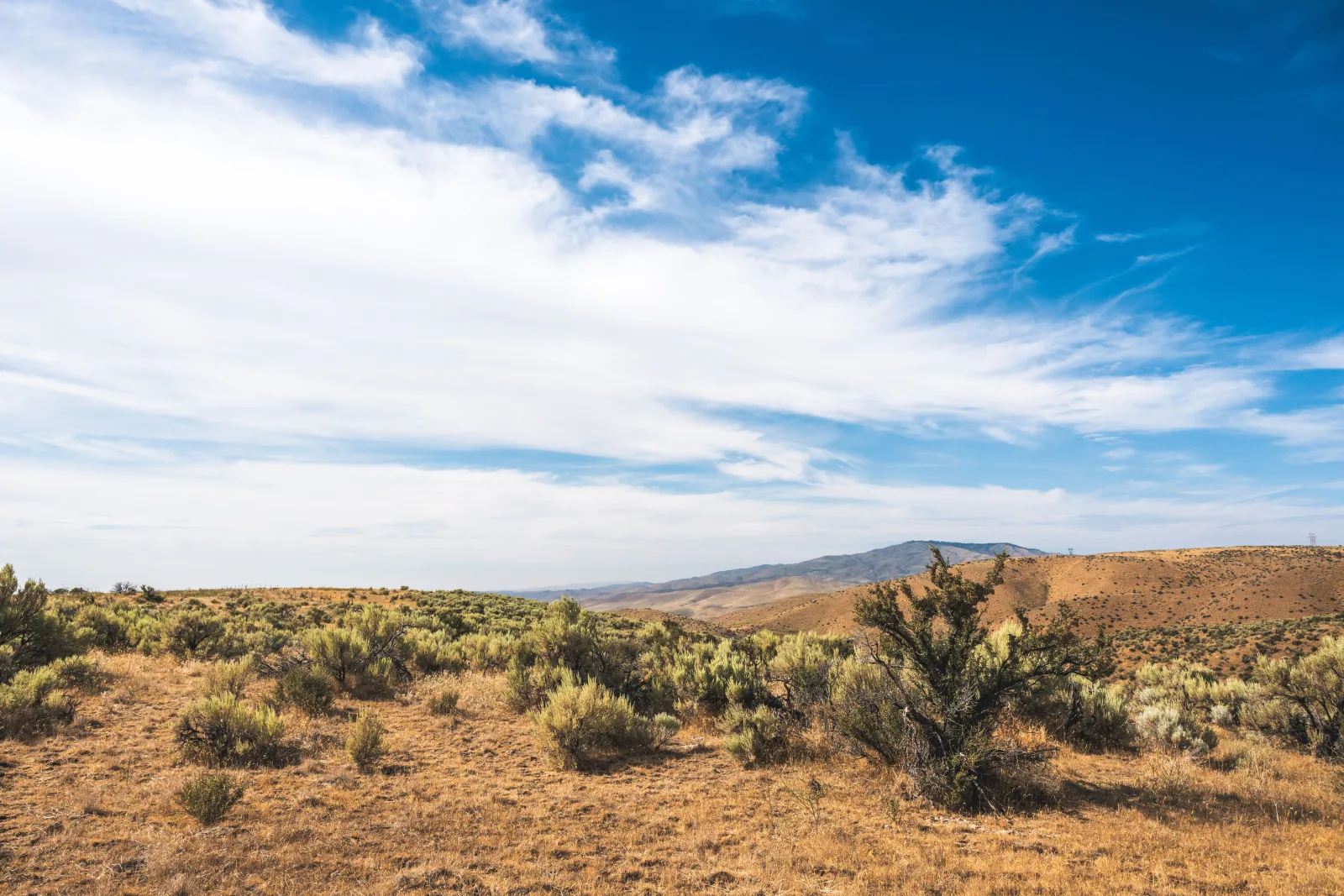 Open sagebrush rangeland under a wide sky