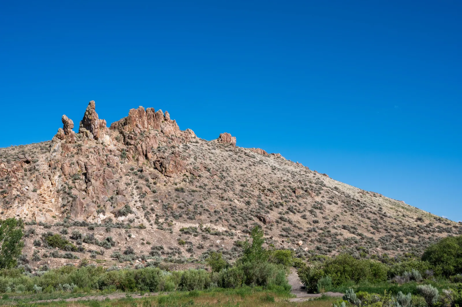 A rocky sagebrush hillside under a clear blue sky