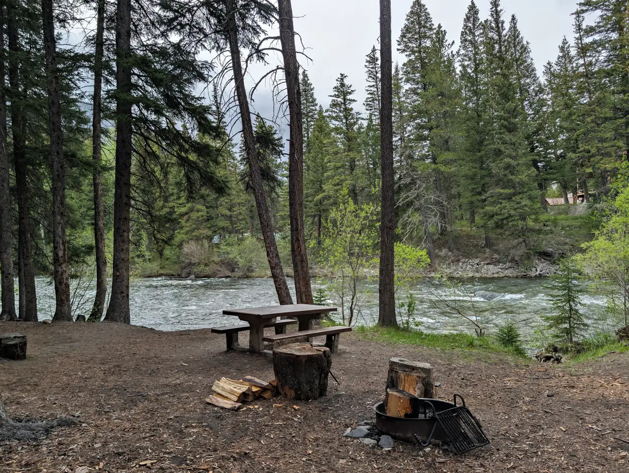 A riverside campsite with a picnic table and steel fire ring under conifers