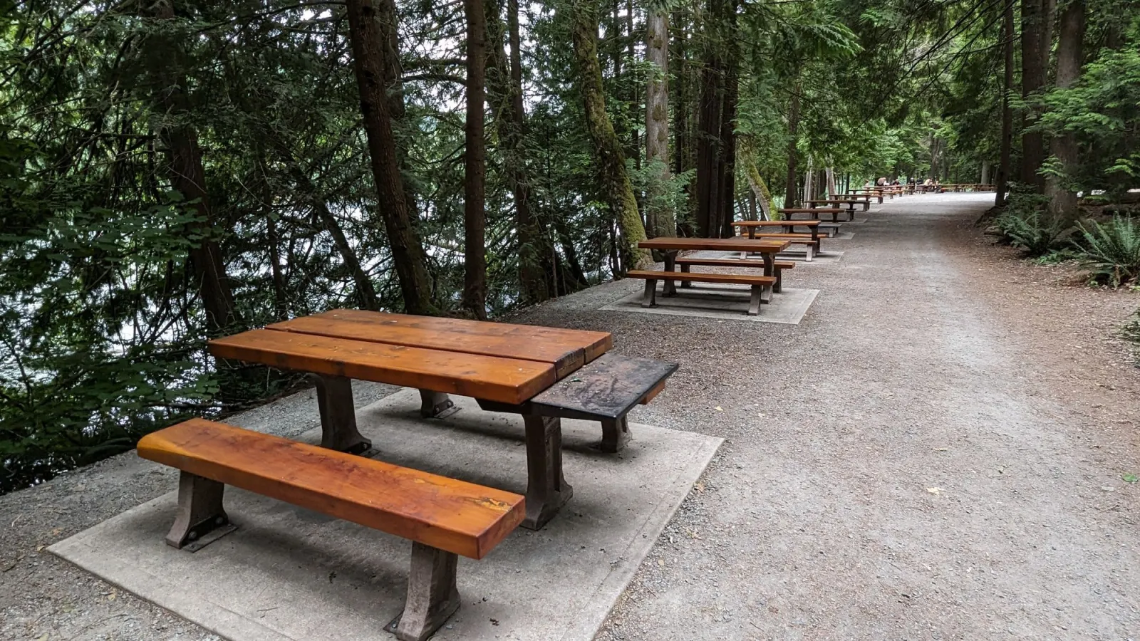 Picnic tables along a scenic path at a developed campground
