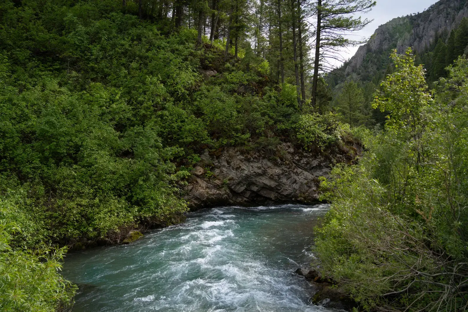 River running through a steep green canyon with rock outcrops above the water