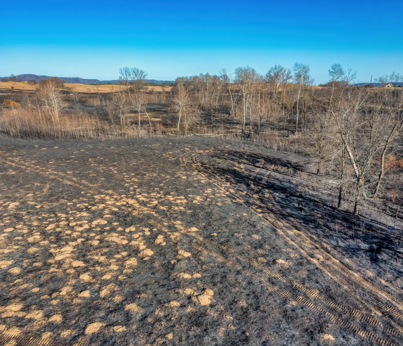 Blackened ground and bare trees on open country after a controlled burn