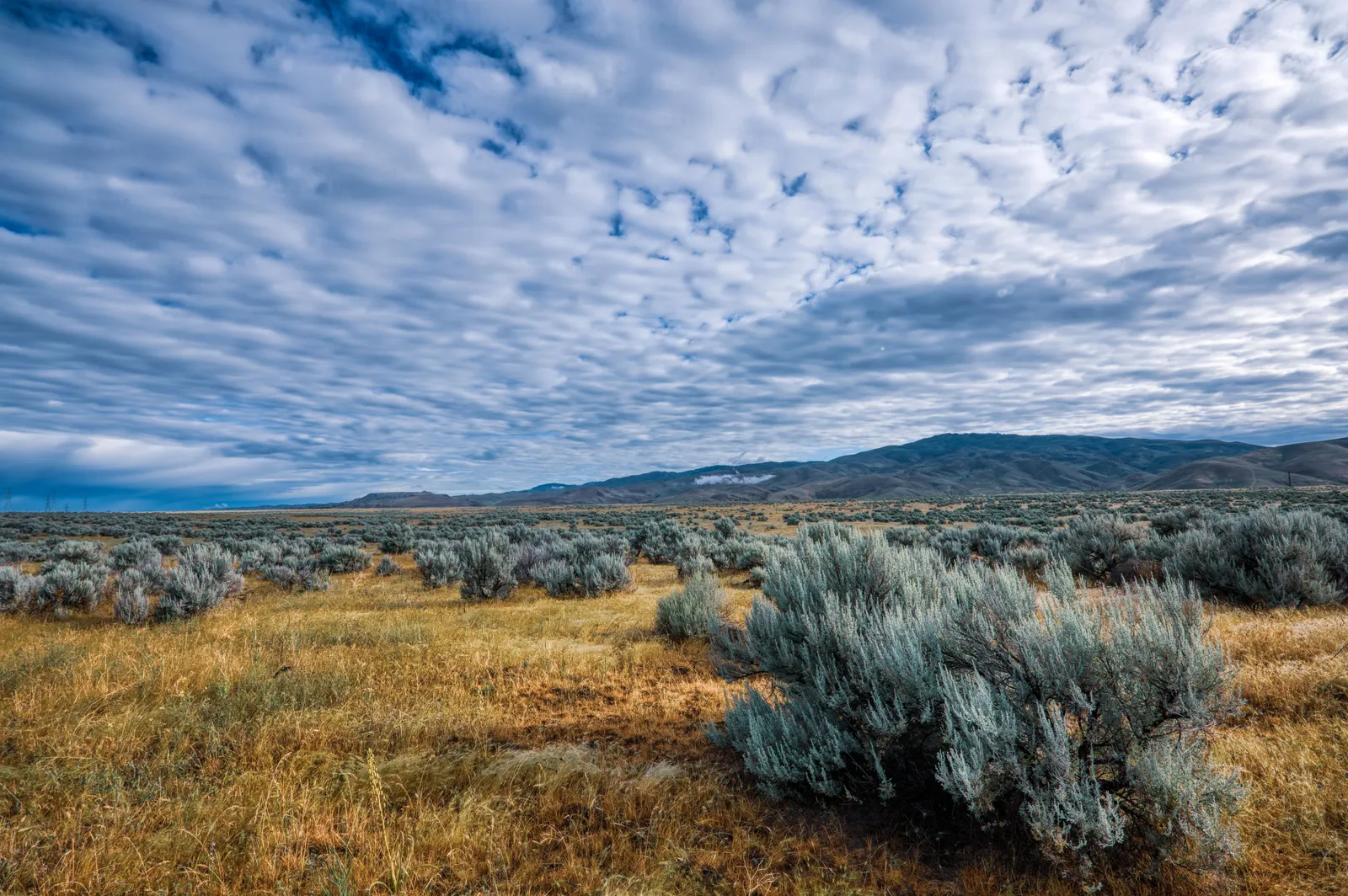A wide sagebrush flat with dry grass running toward low hills under a cloudy sky