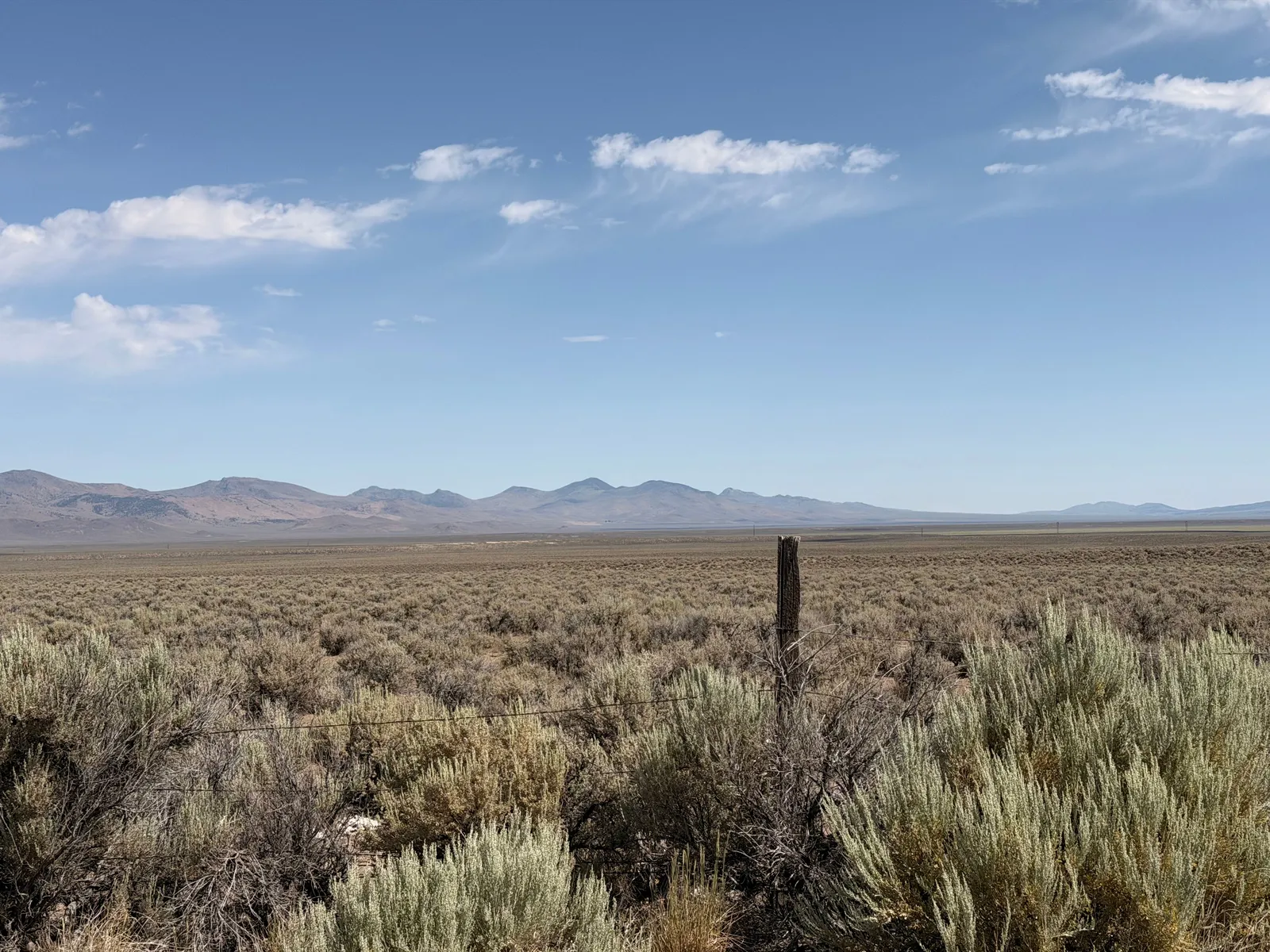 Open sagebrush desert under a blue sky with low mountains on the horizon