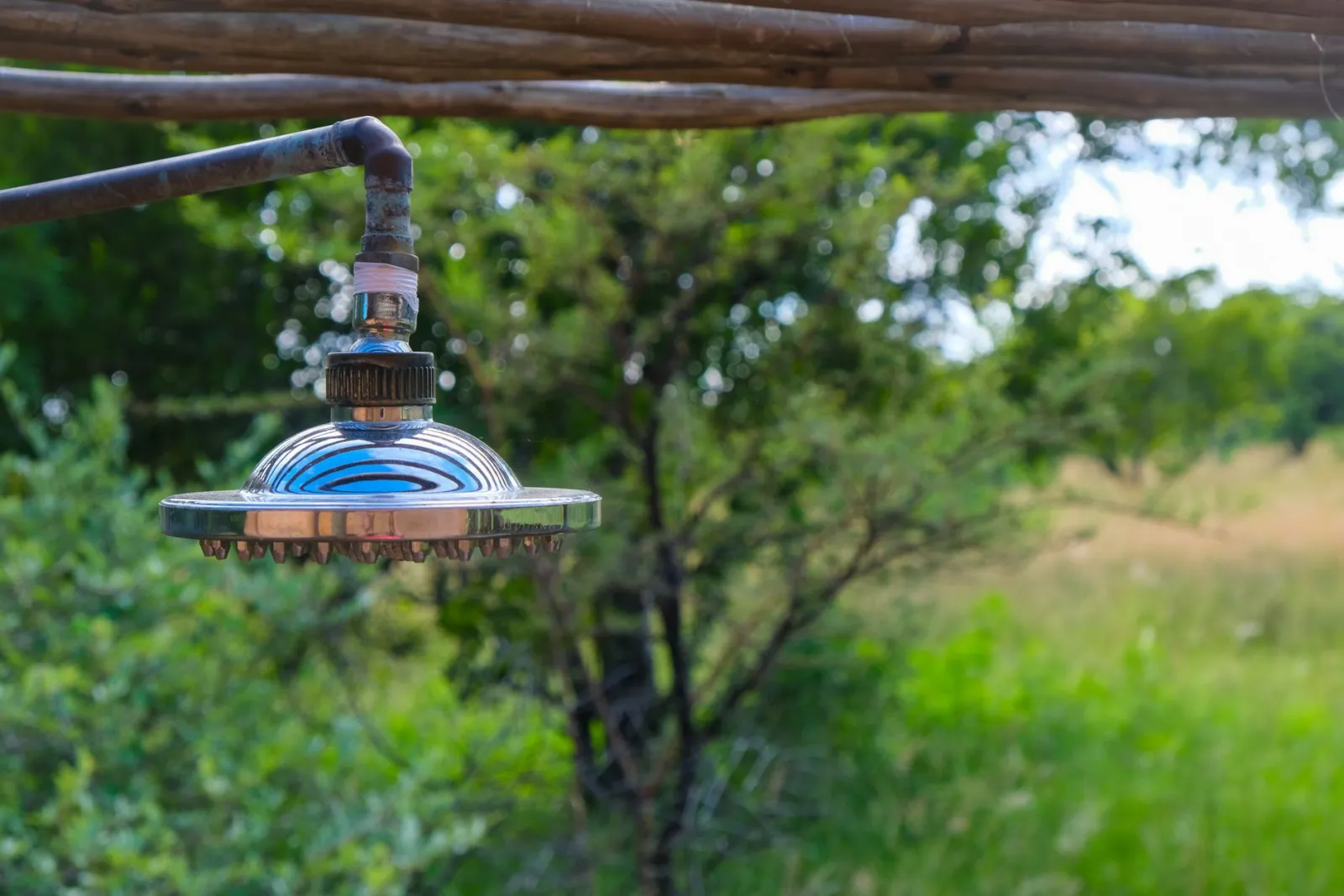 A metal shower head on an outdoor pipe under a wooden frame, with green brush behind it