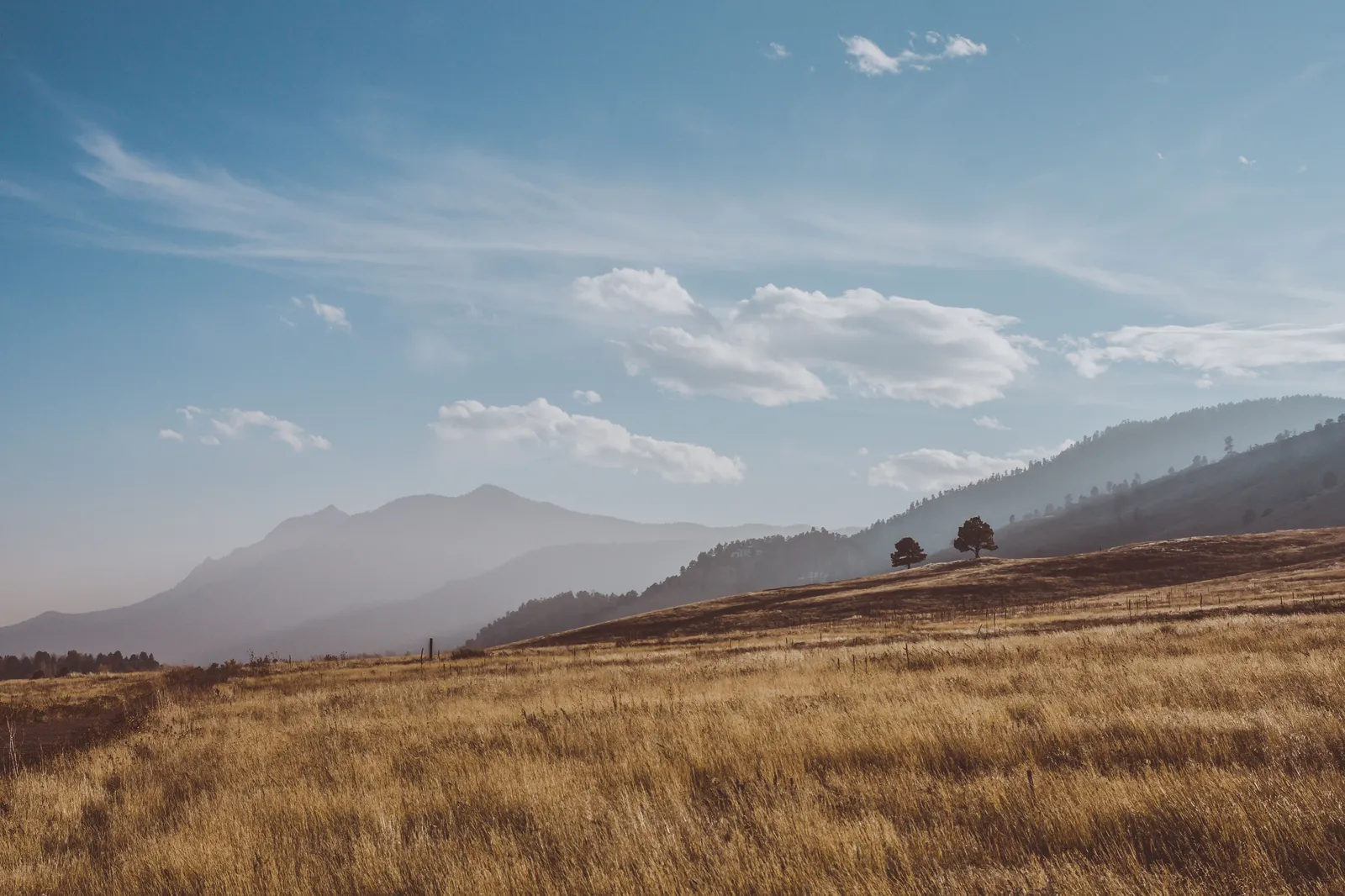 Open shortgrass prairie and low hills on public land in eastern Colorado
