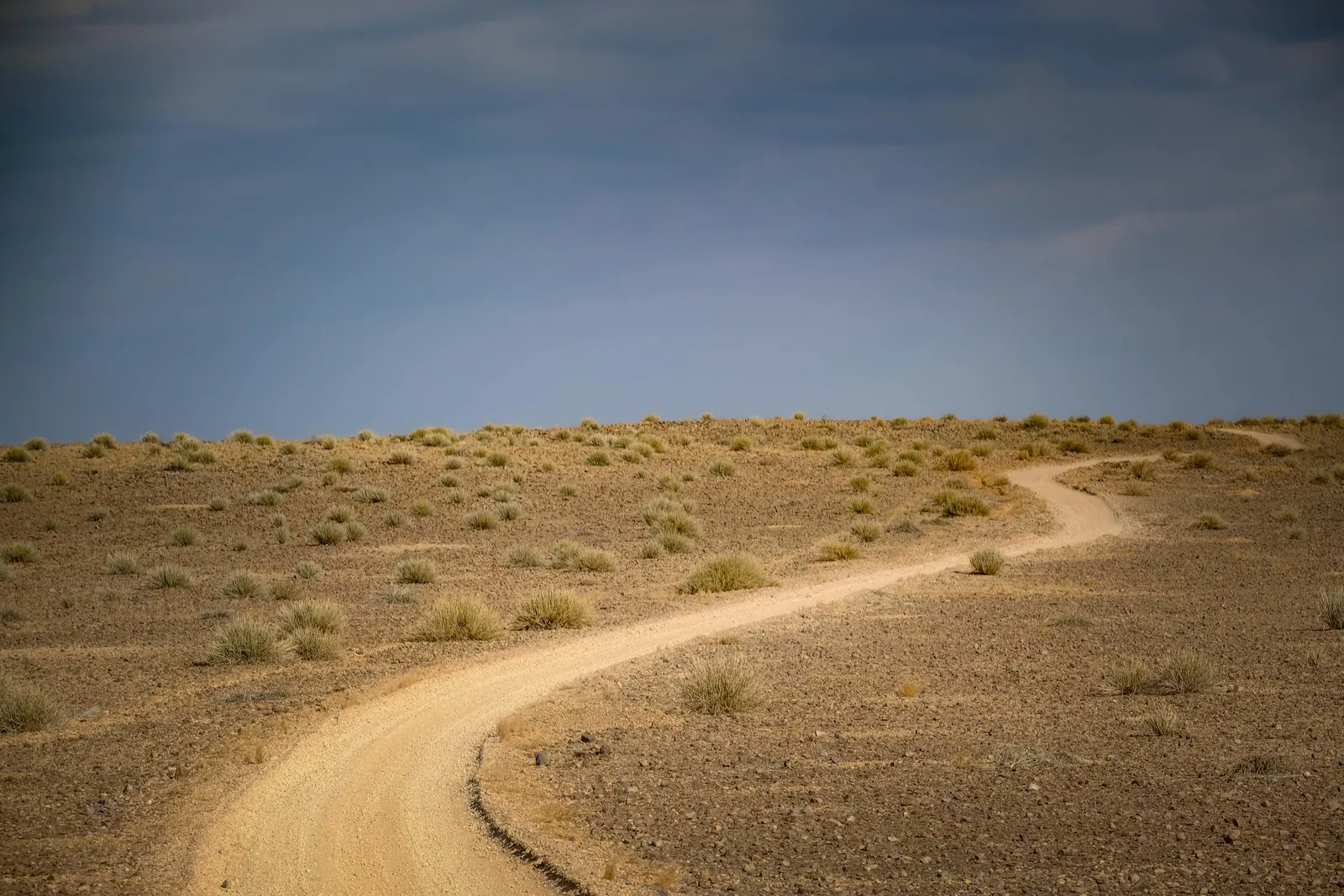 A dirt two-track winding across open desert under a dark sky