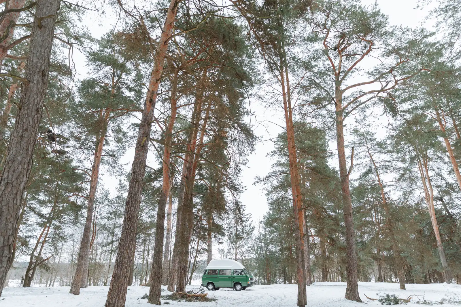 A green pop-top camper van parked among tall pines on snowy ground