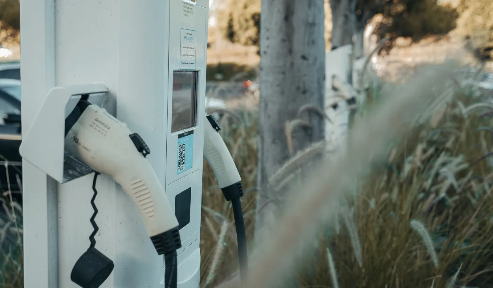 A public electric vehicle charging station with two connectors beside ornamental grass