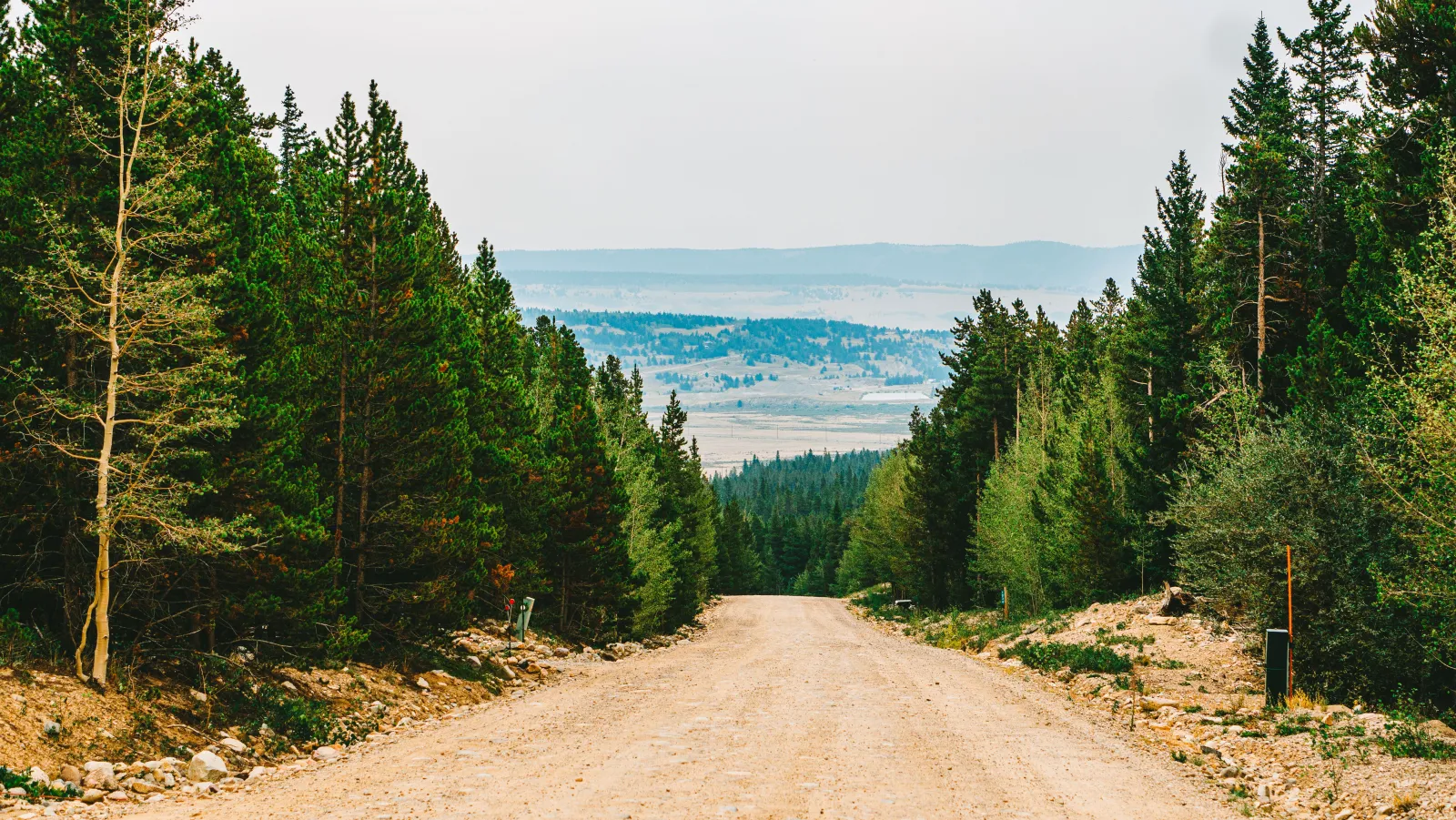 A dirt road running through dense evergreen forest toward distant hills