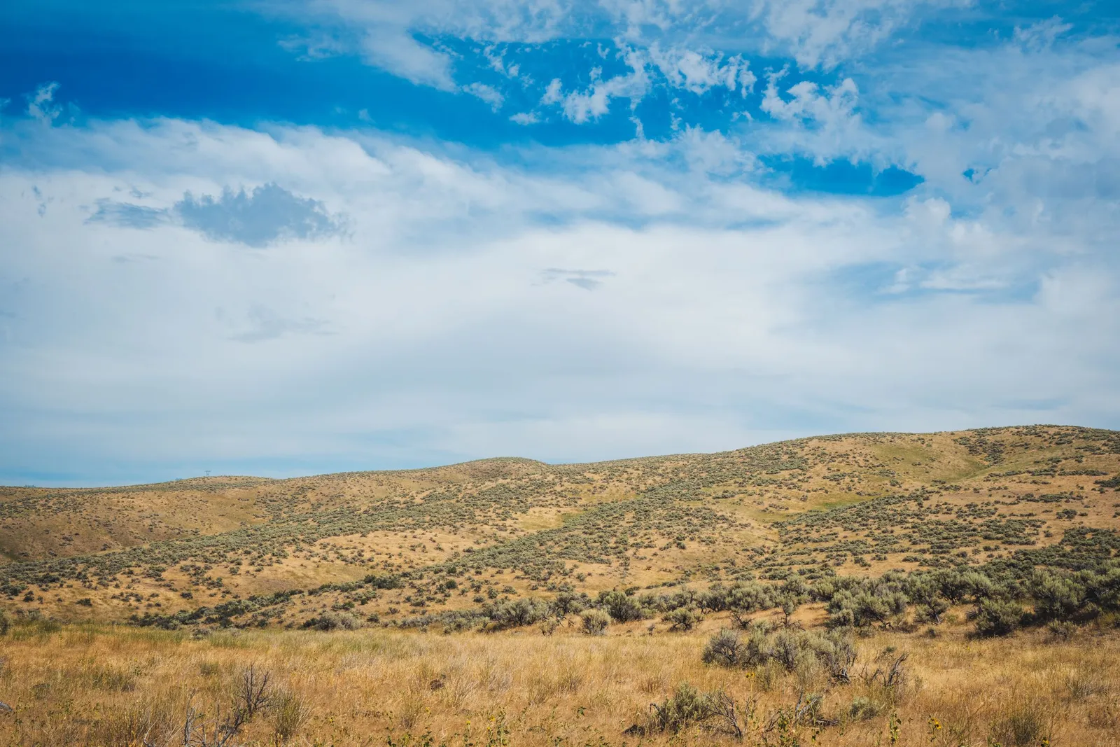 Dry grass hills under a clear blue sky in southwest Idaho