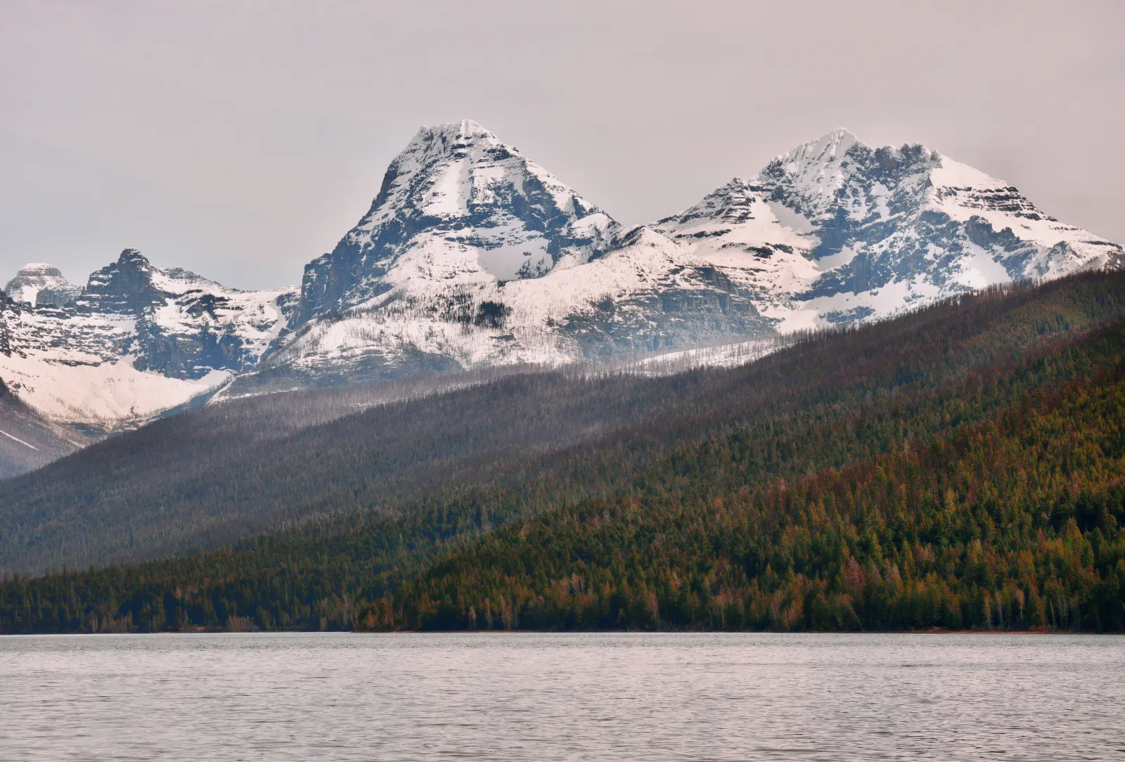 Snow-covered peaks above a forested lakeshore and gray water under an overcast sky