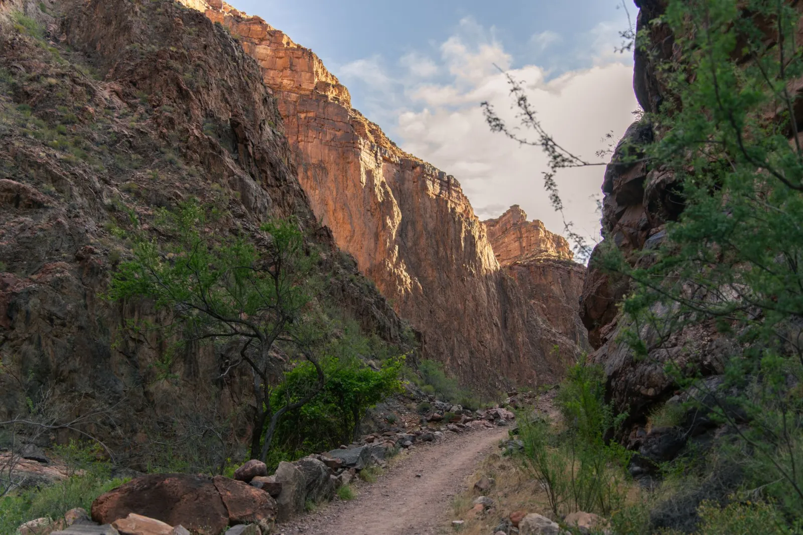 A rocky hiking trail cut into the side of the Grand Canyon