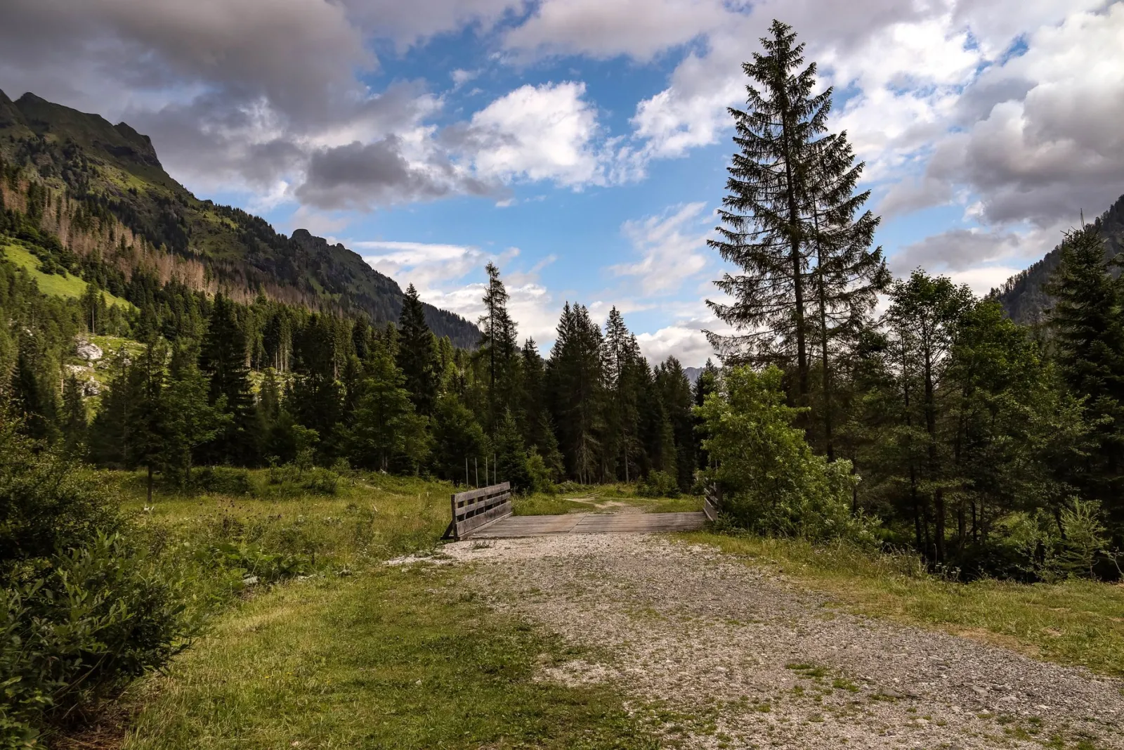A gravel road crossing a small bridge through conifer forest below mountain slopes