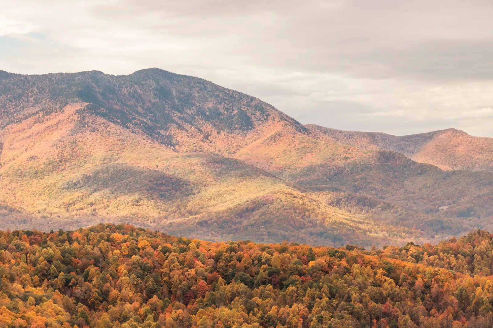Fall color on forested ridges below a mountain in the Great Smoky Mountains