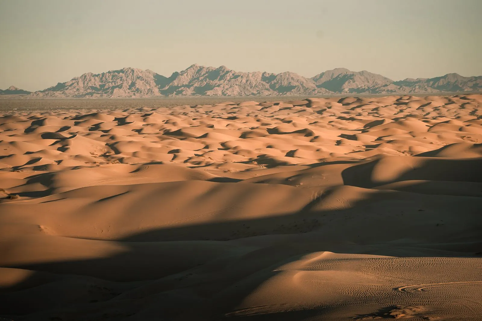 Sand dunes with faint vehicle tracks below a rocky desert mountain range in low sun