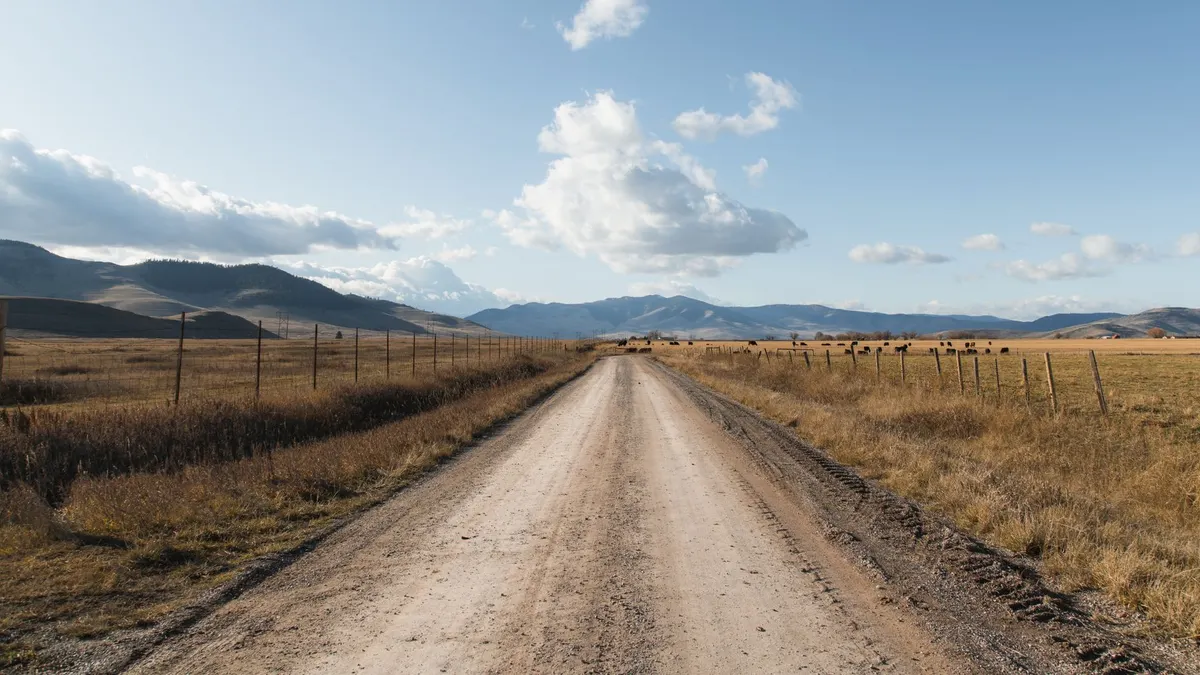 A gravel road running between fenced grazing land toward low Montana mountains, cattle in the distance