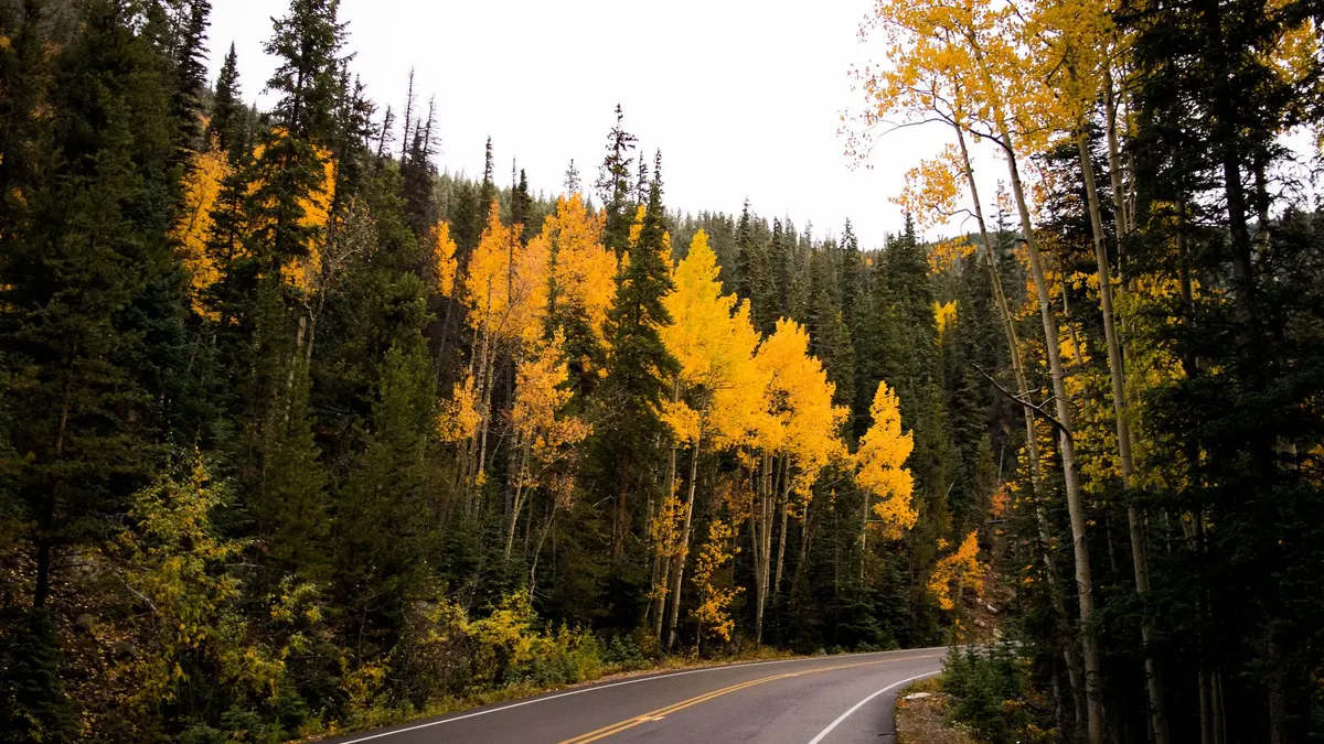 A two-lane mountain road curving past golden aspen and dark conifers