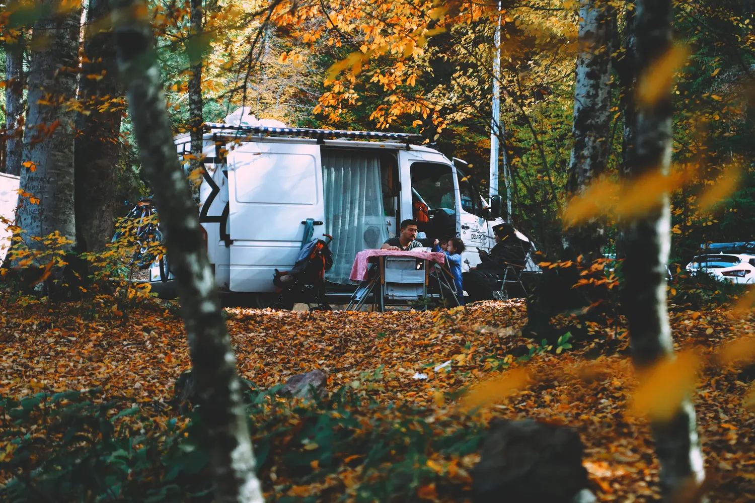 A camper van parked among yellow autumn trees with people sitting at a table outside