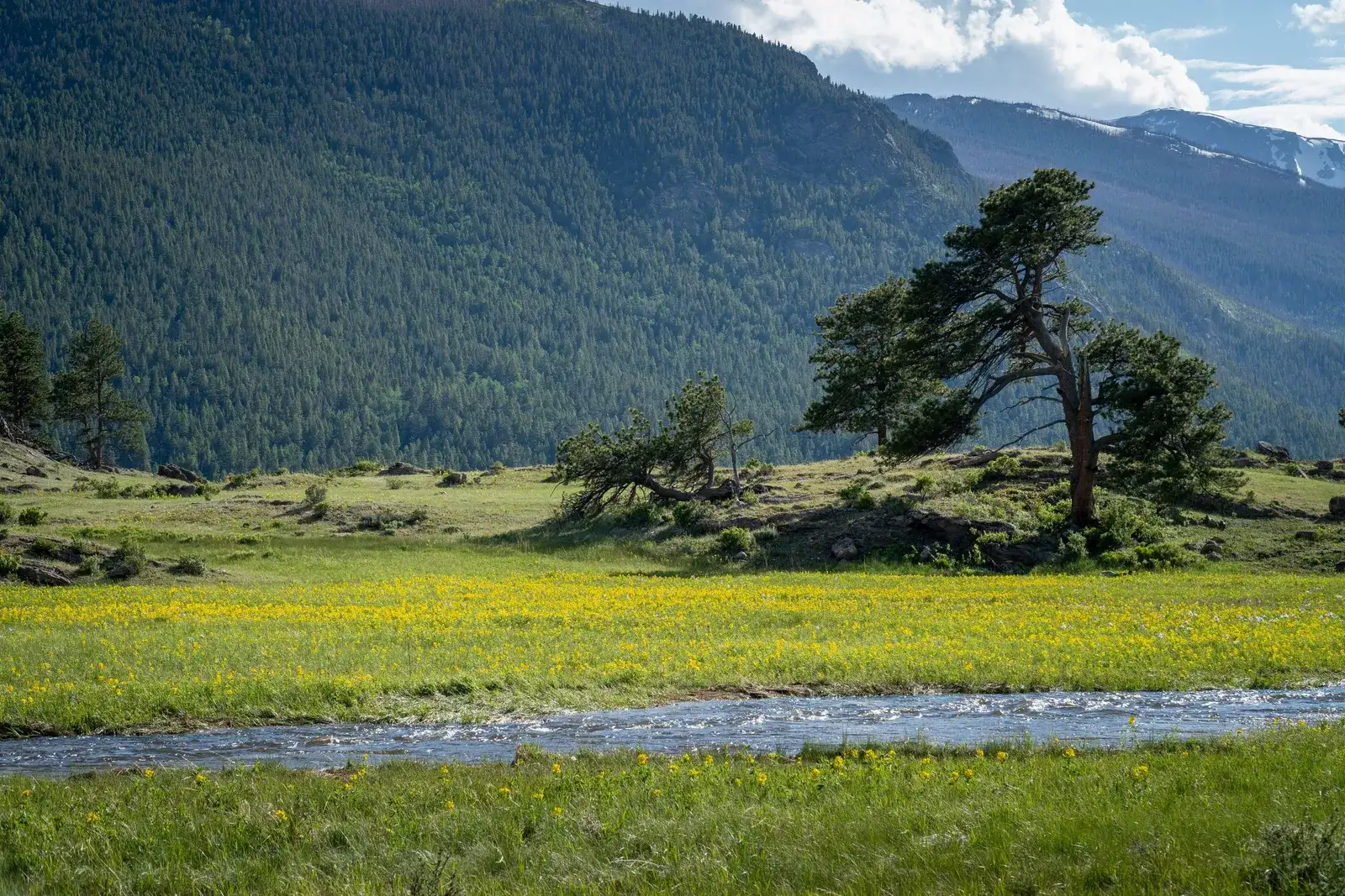 A river running through an open meadow in Rocky Mountain National Park, Colorado