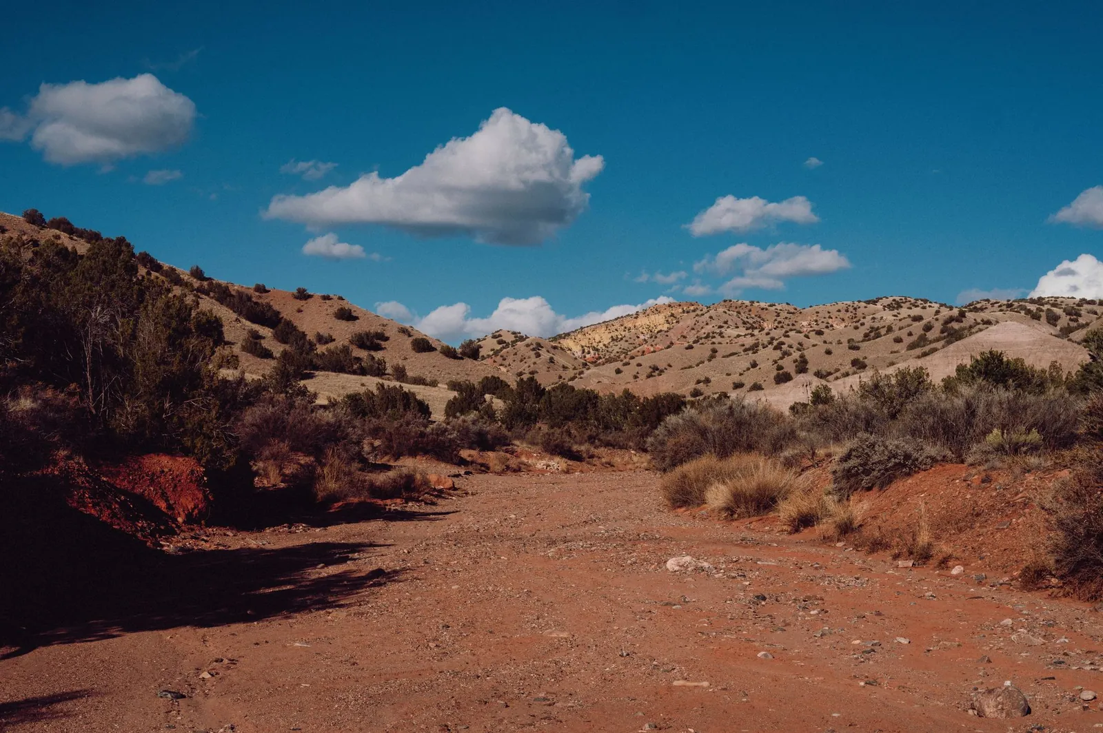 A dirt track running through sagebrush toward low arid hills under a clear sky
