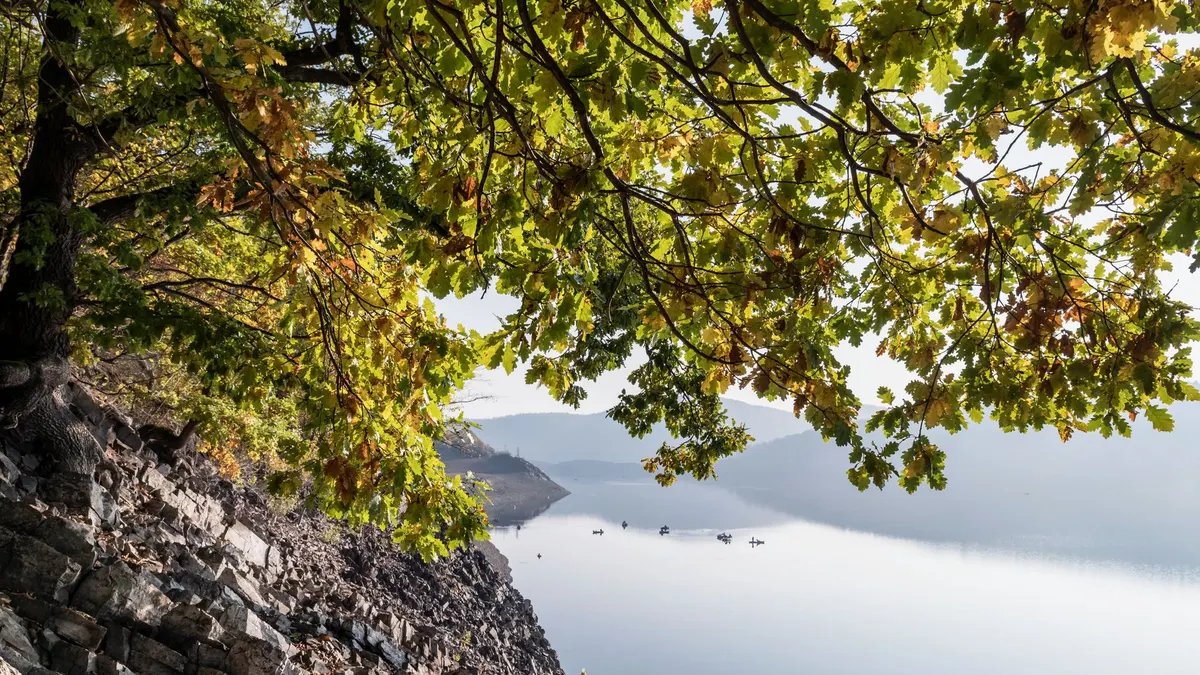 A reservoir shoreline of the kind the Army Corps manages