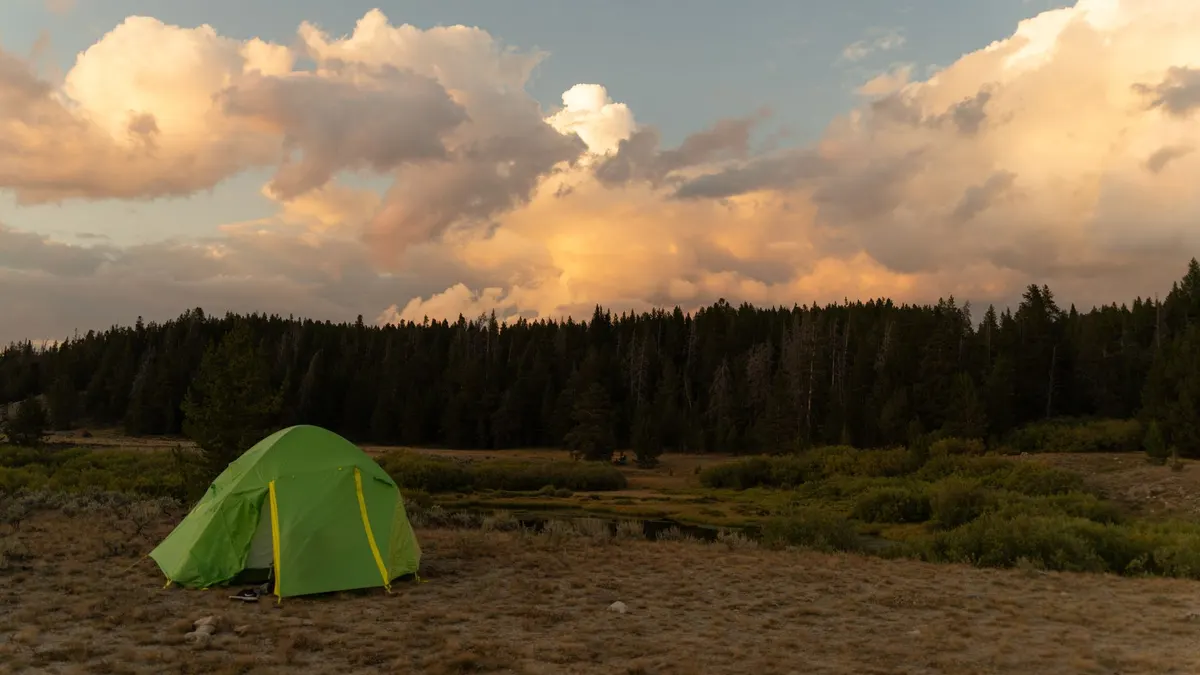 A dispersed campsite in a clearing off a forest road