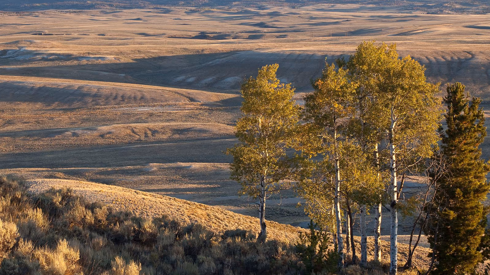 Open BLM public land and sagebrush under a wide sky in Wyoming