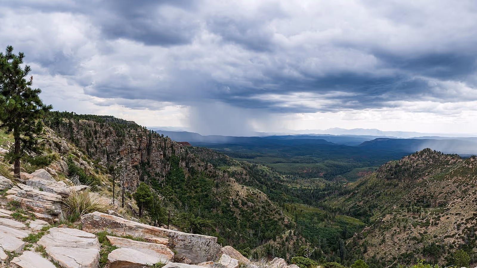 Coconino National Forest rim country in Arizona under summer storm clouds