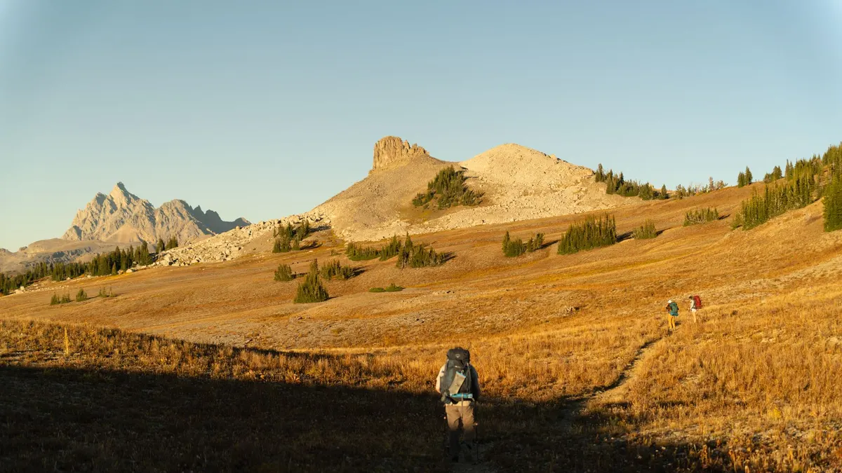 A backcountry trail through wilderness